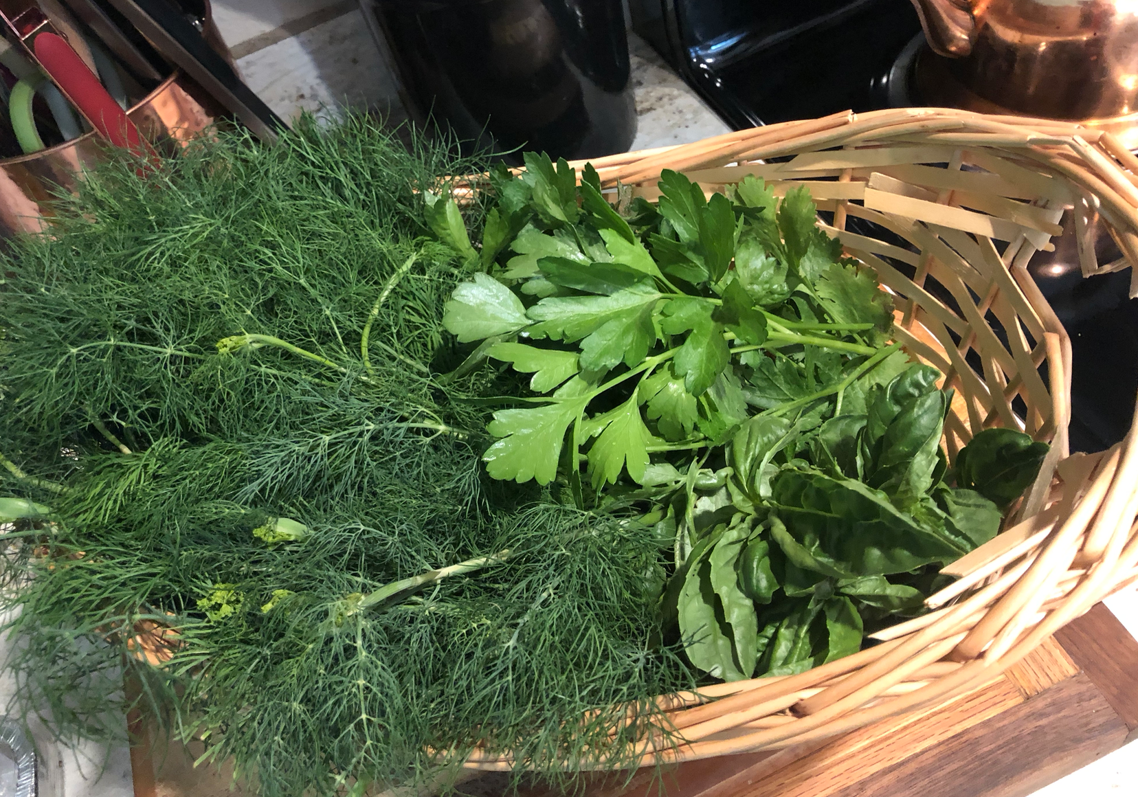 harvest dill